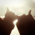 Love Spell