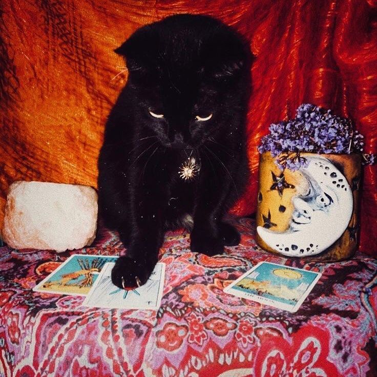 Tarot Card Reading